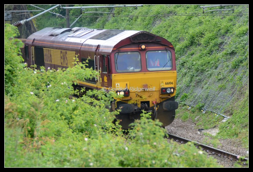 GR20430469